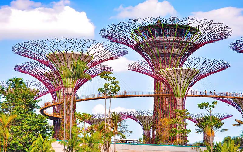 移民新加坡要辦多久？流程詳解與時間預估