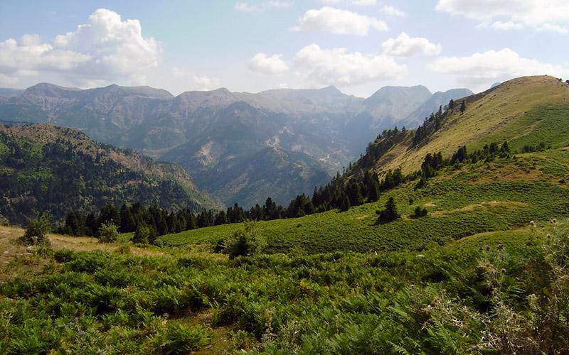 希臘現(xiàn)在好不好移民？深入了解移民希臘的利與弊