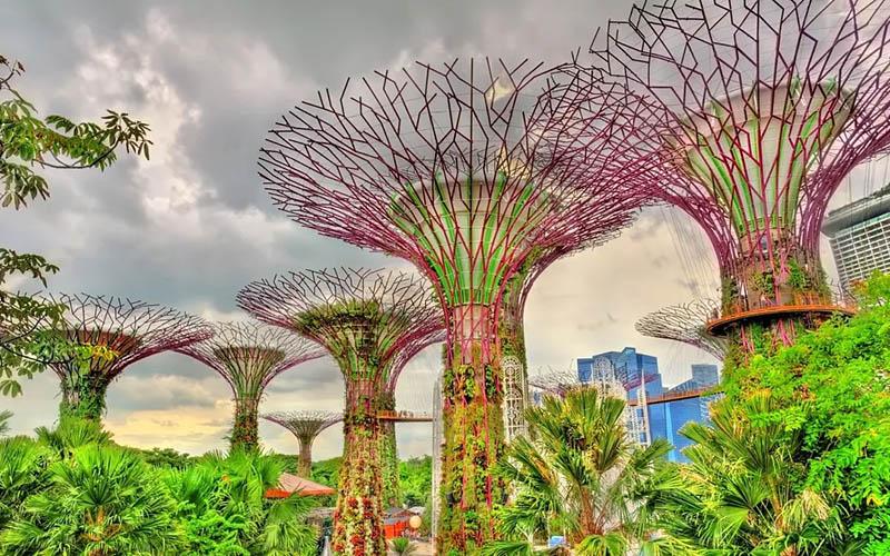 frm能否移民新加坡？全面解析與指導(dǎo)