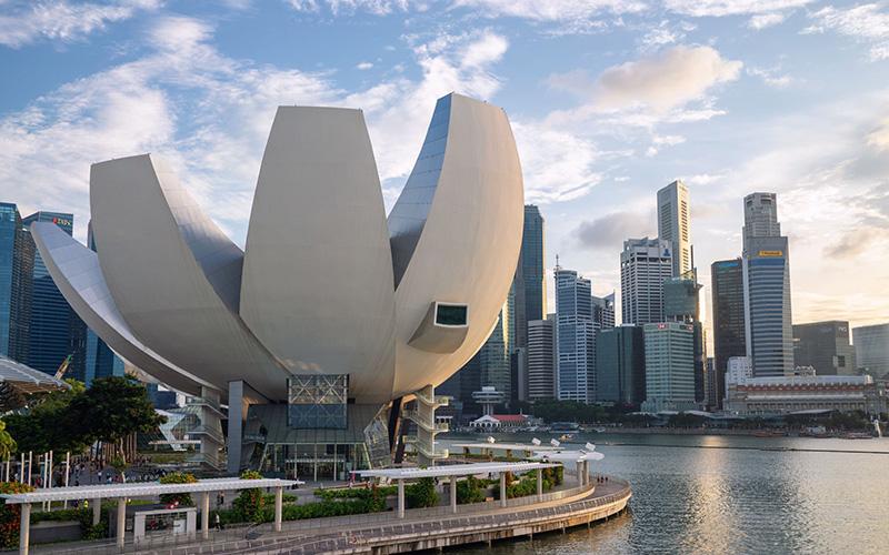 移民新加坡后能否炒股？新加坡股市投資指南