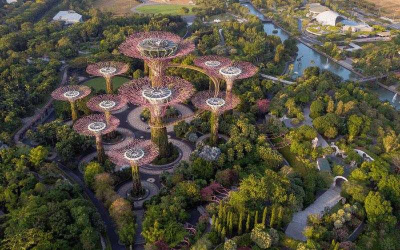 富豪為啥移民新加坡？解析富豪選擇新加坡的原因