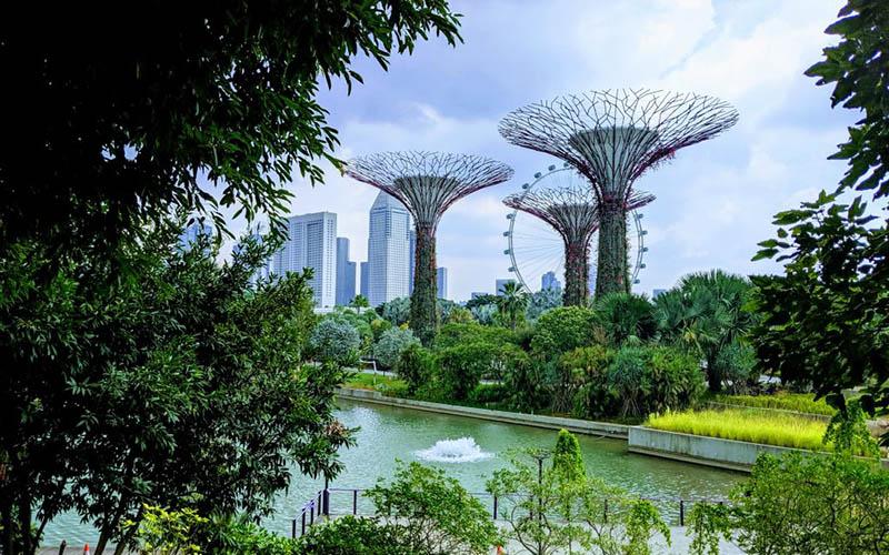 多少華人移民新加坡？了解移民趨勢和生活指南