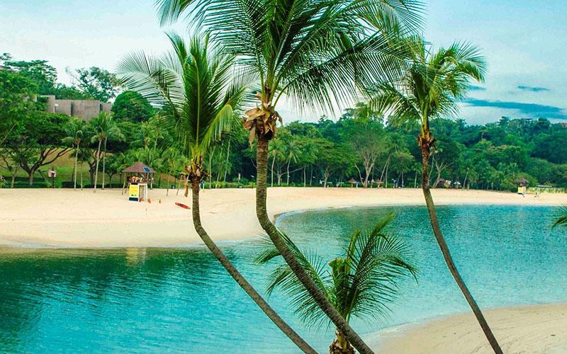 新加坡家族移民好嗎？全面解析移民優(yōu)勢(shì)與挑戰(zhàn)