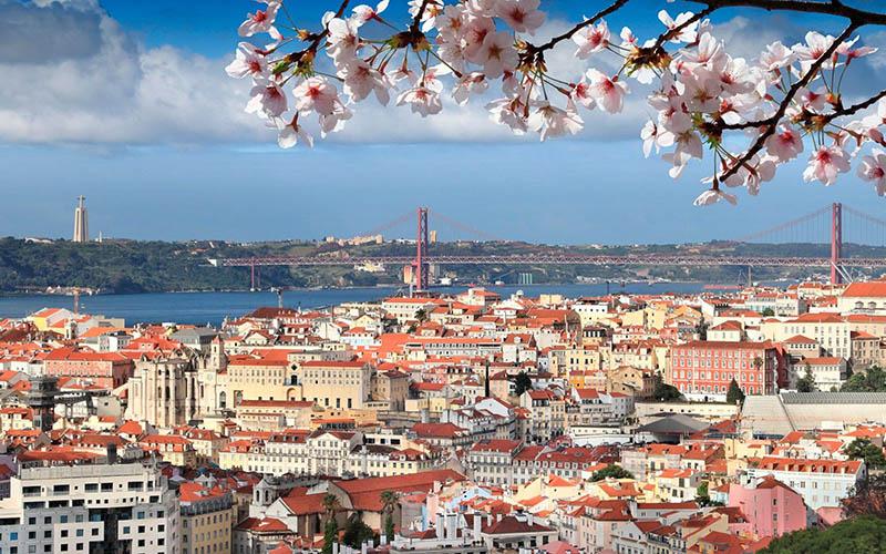 葡萄牙投資移民多少億？深入解析政策與趨勢