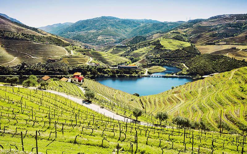 投資葡萄牙餐館費用多少？投資葡萄牙餐飲業(yè)的成本解析與回報